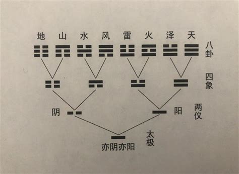 三爻|爻（组成卦符的基本符号）